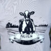 T-shirt Holstein Switzerland 2024 - Enfant – Image 2