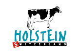 logo_holstein_overflow