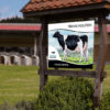 Panneau ferme Holstein