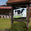 Panneau ferme Holstein