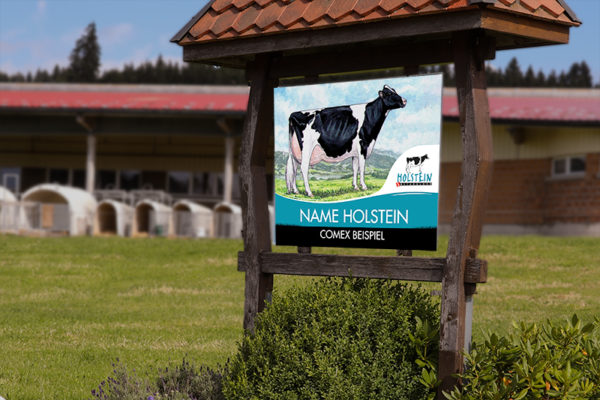 Panneau ferme Holstein